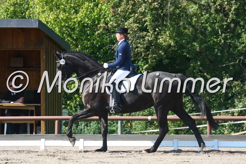 009M0141_Tiffany_Dressur L_e_.JPG